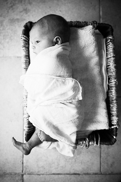 newborn baby in a basket