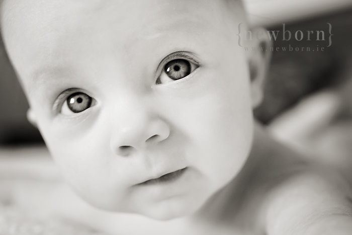 bright eyes