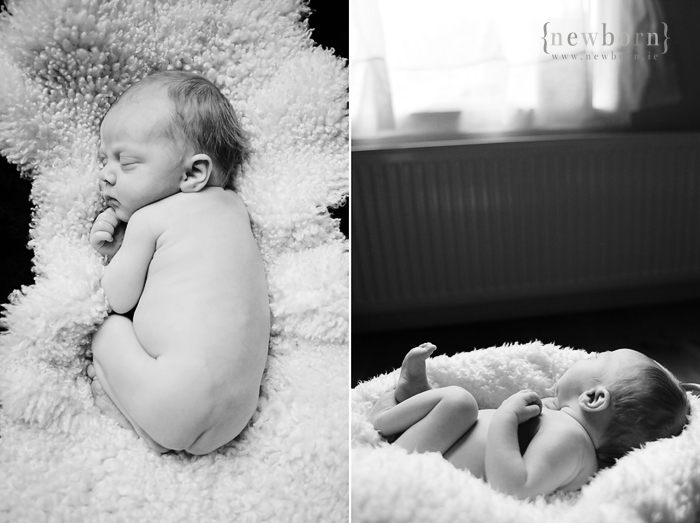 Newborn Photographer, Ireland: Fleece Newborn Photographer, Ireland: Fleece