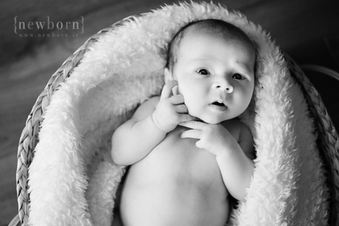 Newborn Photography Ireland